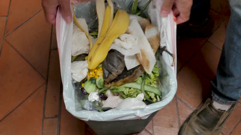 Professional Junk Removal Services in Dundas, MN