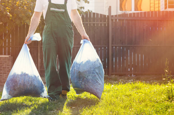 Best Dumpster Rental Services  in Dundas, MN